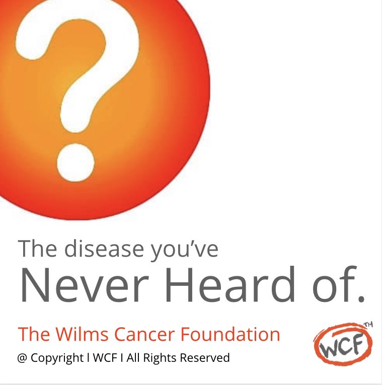 Kidney Cancer is the 4th most common Childhood Cancer. This year another 600-700 children in North America will be diagnosed with kidney cancer. Over 190,000 children suffer from it worldwide.

WilmsFoundation.org

#Wilms #WilmsTumor #WilmsTumors #WilmsFoundation