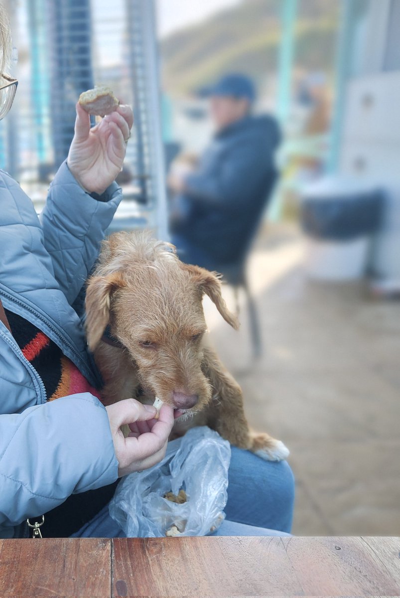 david 💙 tweet media