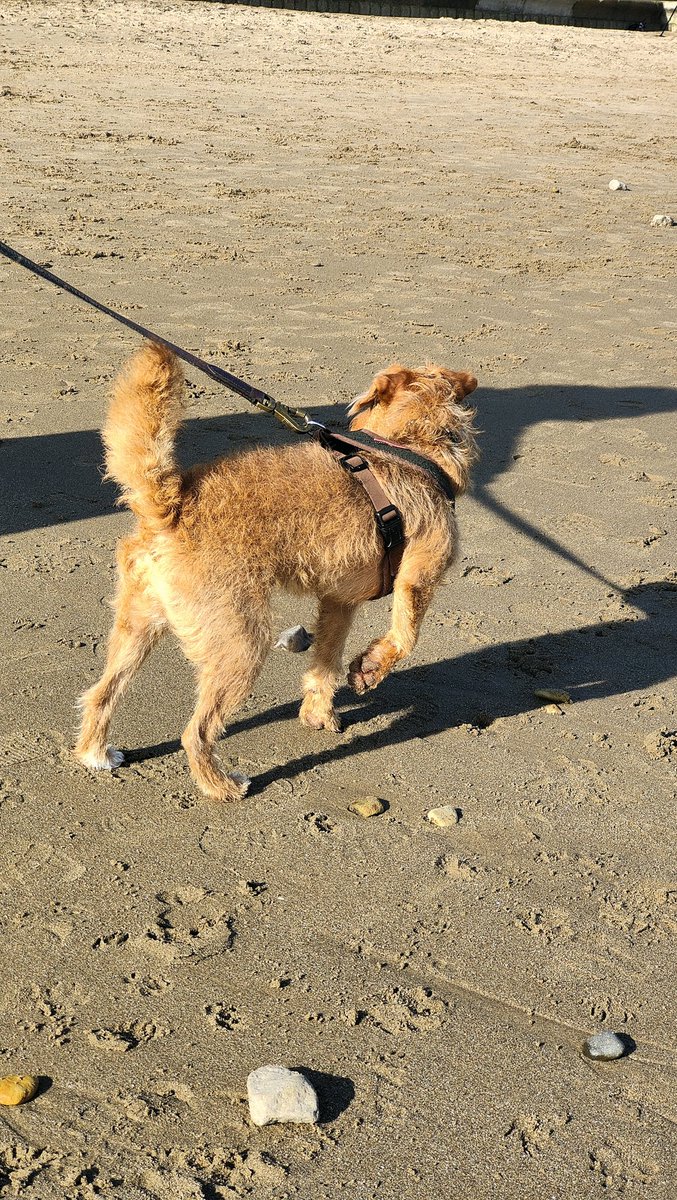 david 💙 tweet media