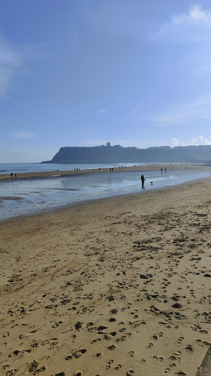 david 💙 tweet media