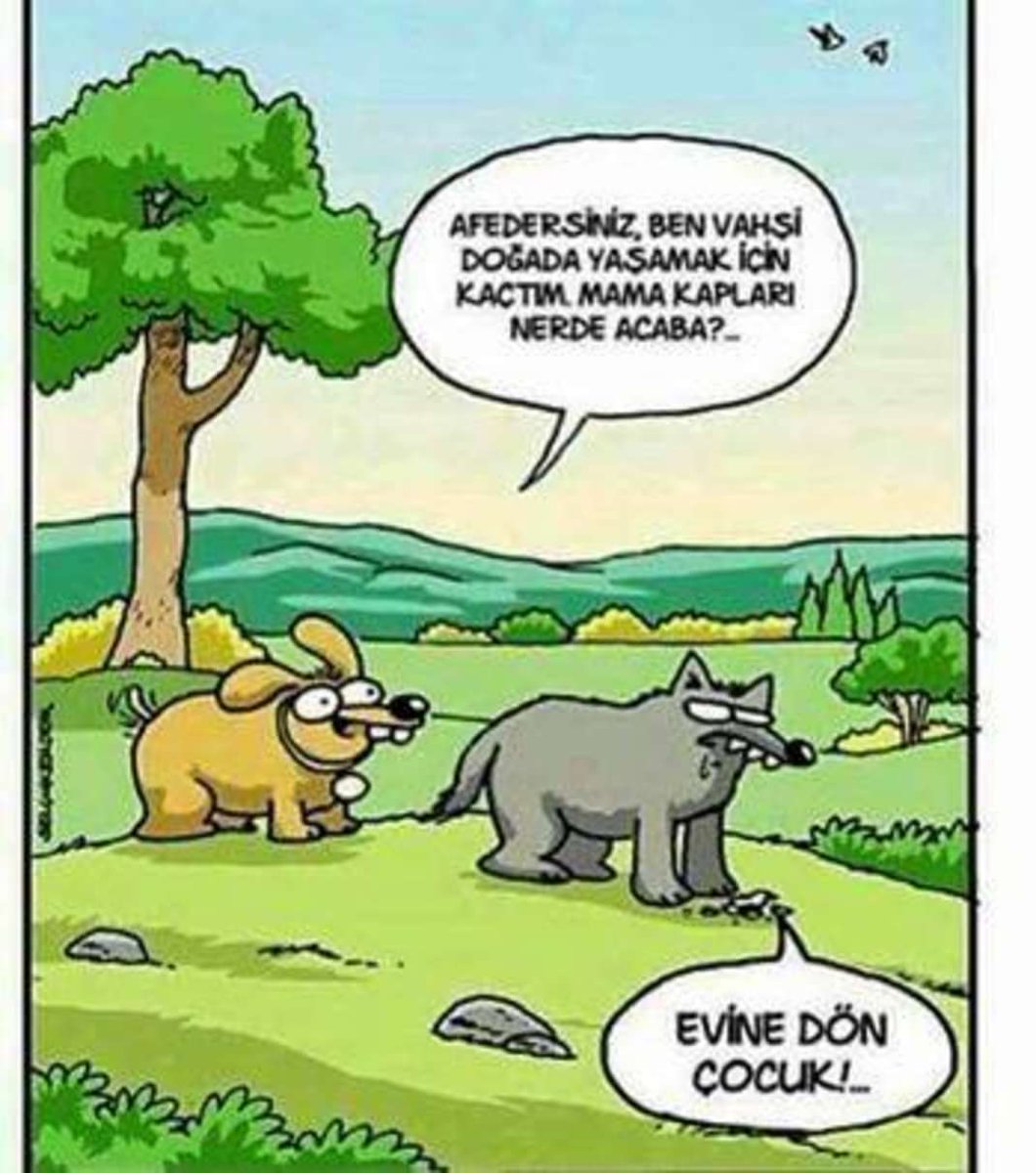 Alışmadığın yerde yaşamak zor gelir.