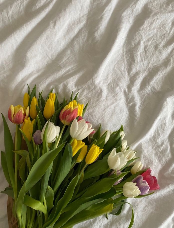 i3Moment's tweet photo. Tulips https://t.co/5LoAPm9AZV