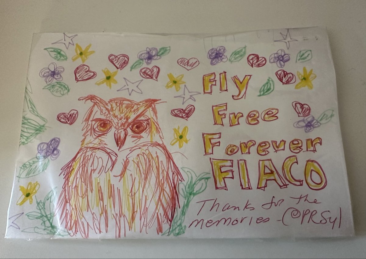 Tribute ready for Flaco’s tree. Thanks for the fun and inspiration of following your escapades from the start. Fly free and happy forever Flaco.