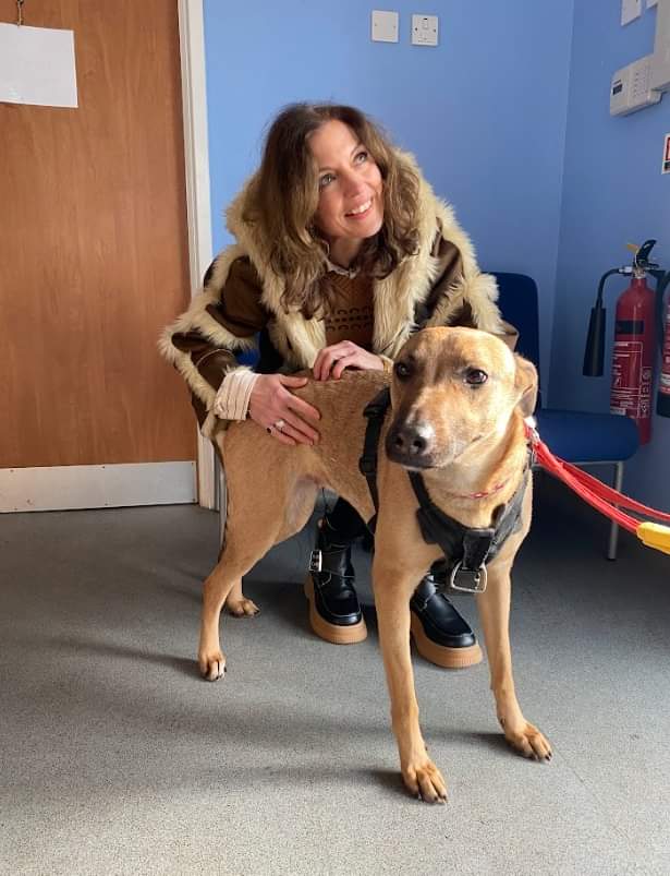 Stubbington Ark, RSPCA Solent branch tweet media