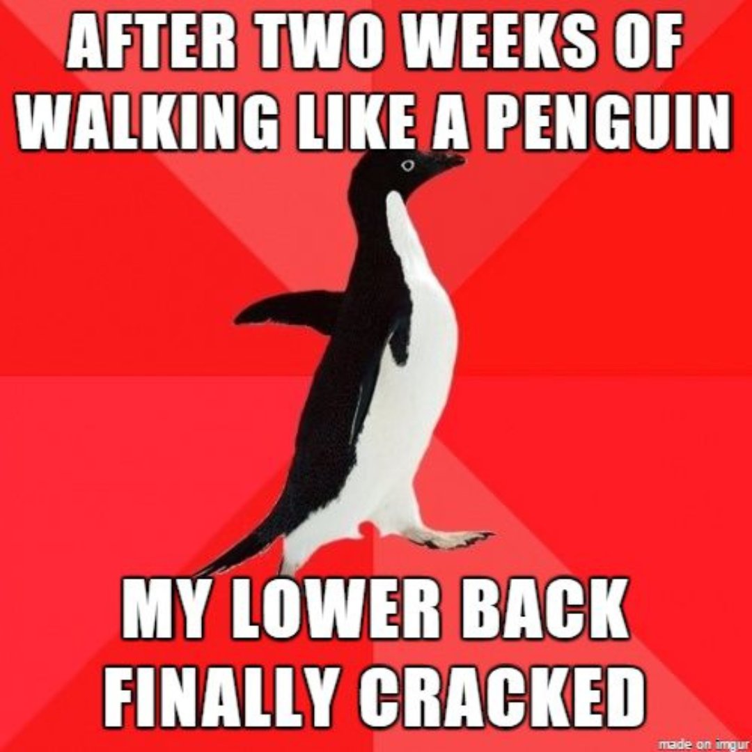 Arthrocen1's tweet image. Do you also walk like a penguin? 🐧🐧🐧 Don't wait until your lower back cracks. Take a supplement that can help relieve the pain. Take ARTHROCEN daily!

📢 Fight joint pain naturally with Arthrocen. 🔍 Learn more by visiting our website. arthrocen.com      

#suppl ...
