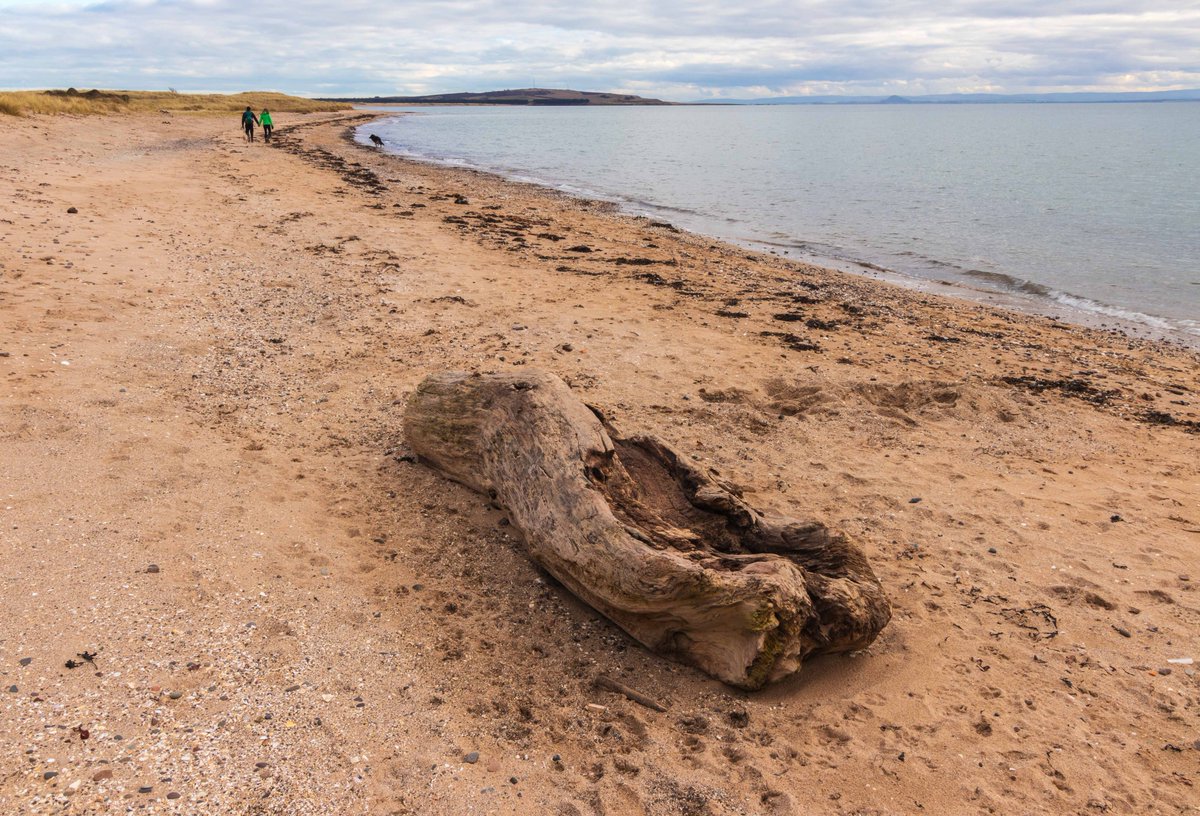 fifeexplorer's tweet photo. A weekend walk around #largobay #fife - explore the #naturereserve or just walk, enjoy the views and #beachscenes📷. How about this weekend? Local hospitality in #lowerlargo...
#photoart #photography #scotlandexplore #beaches #beachescape #seascape #OutAndAboutScotland #lovefife https://t.co/TN9n5ncKtx