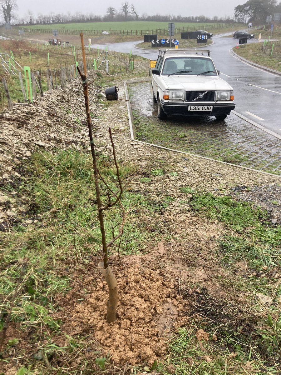 Richard Reynolds tweet media