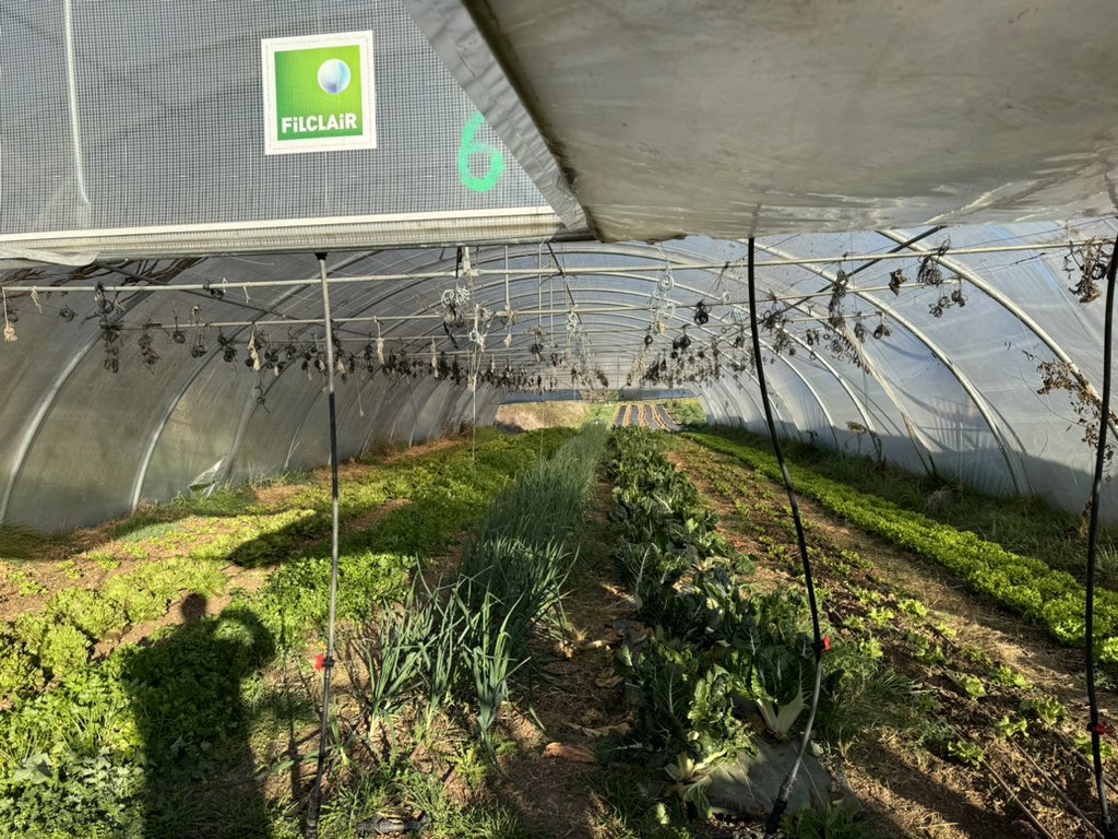 Guillaume Gontard tweet media