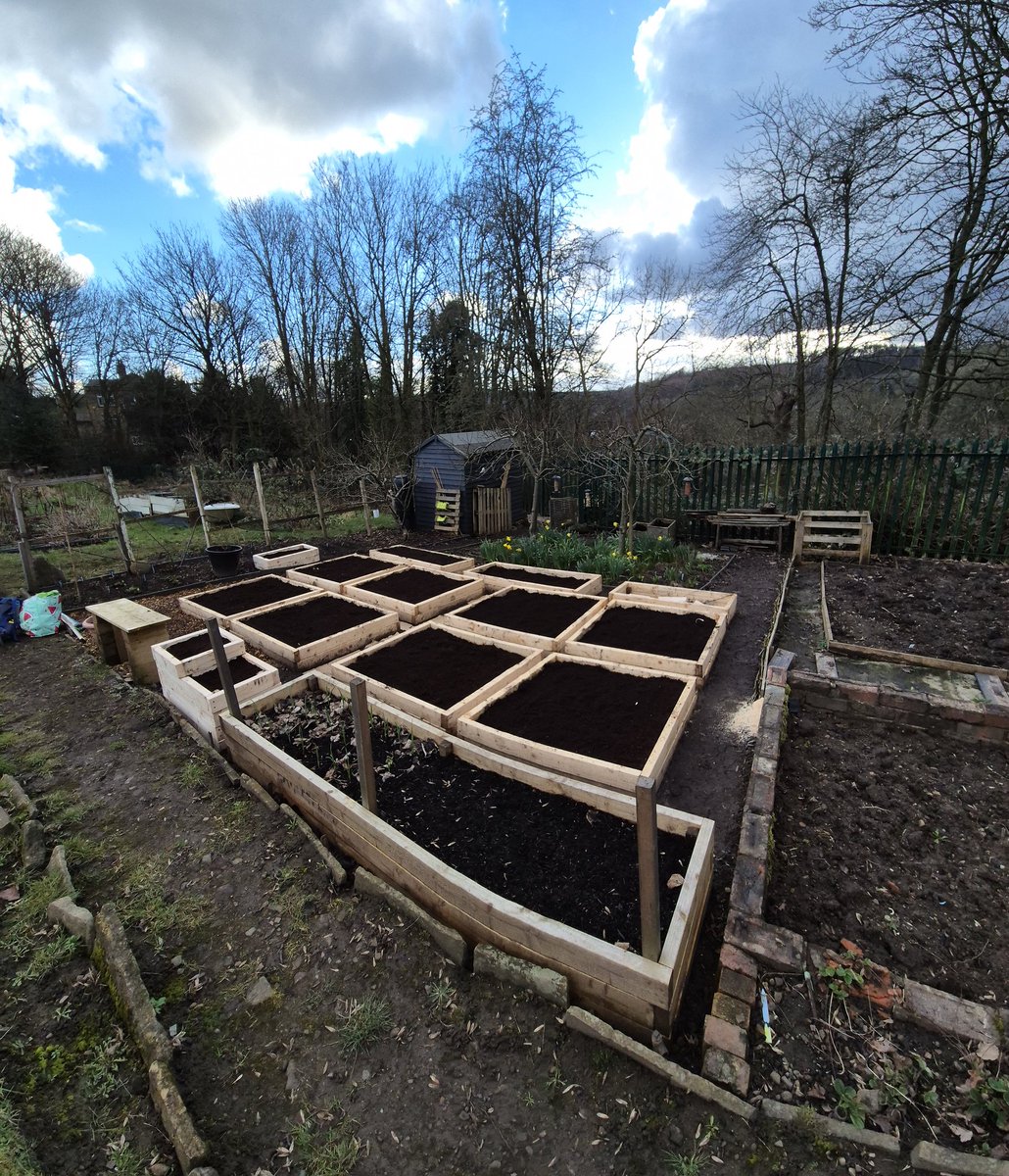 alantaylor26's tweet photo. Before and after shots of our small plot.  Taken a year apart. The squirrels are going to be fatter this year! #allotment https://t.co/yRz2SETj02