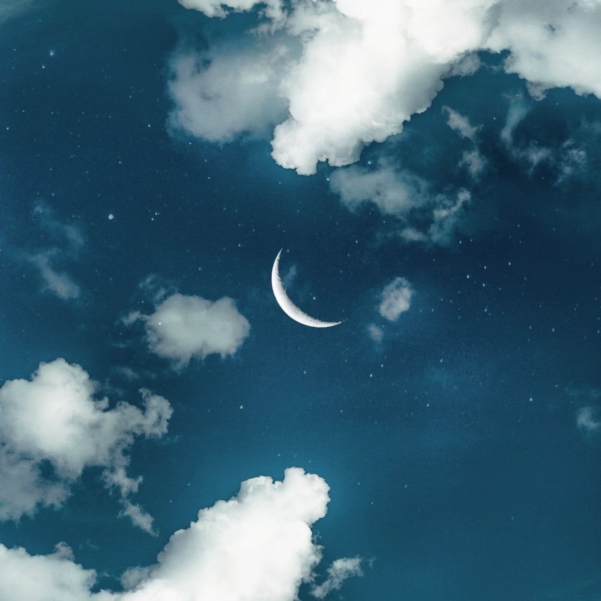 OfStarlitEyes_'s tweet image. ⠀  ⠀  ⠀  ⠀

 ⠀ 𝑨 𝑴𝑨𝑺𝑻𝑬𝑹 𝑾𝑨𝑻𝑬𝑹𝑩𝑬𝑵𝑫𝑬𝑹 .ᐟ

 ⠀  ⠀  ⠀  ⠀