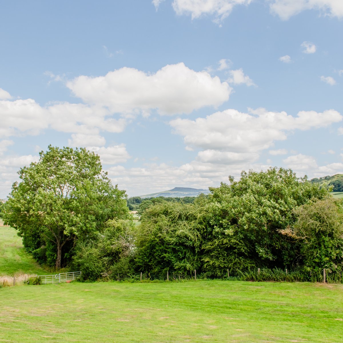 Check out the view from the dog field at our Ludlow park!

Take a moment to relax with a view across to the Clee Hills, whilst your four-legged friend stretches their legs in a secure field. 🐶

👉 You can book your stay at our Ludlow Touring Park over on our website.