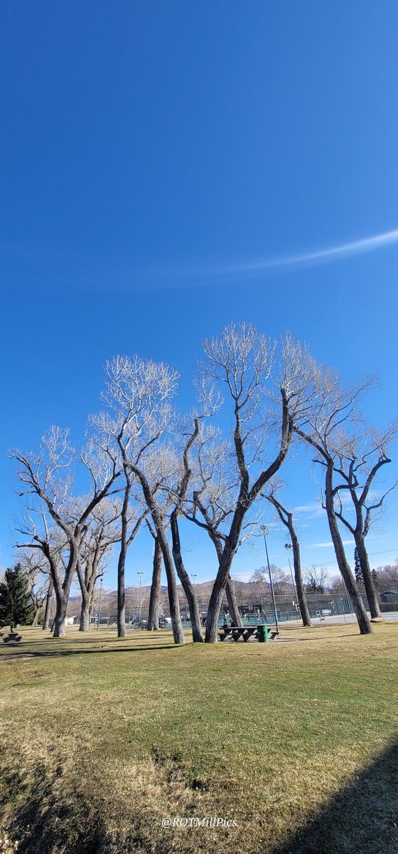 ROTMillPics's tweet photo. Beautiful day at the park
#picoftheday #photooftheday #sky #bluesky #trees #nature #February2024 #winter2024
#WINTER https://t.co/efY1pWgaKk