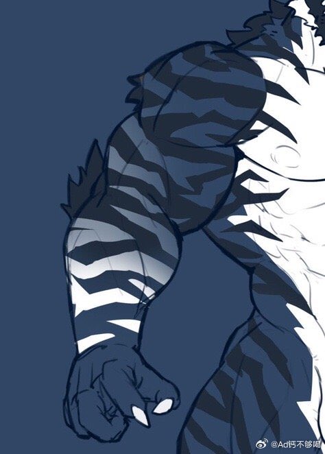 翻新了一下设定！🐯