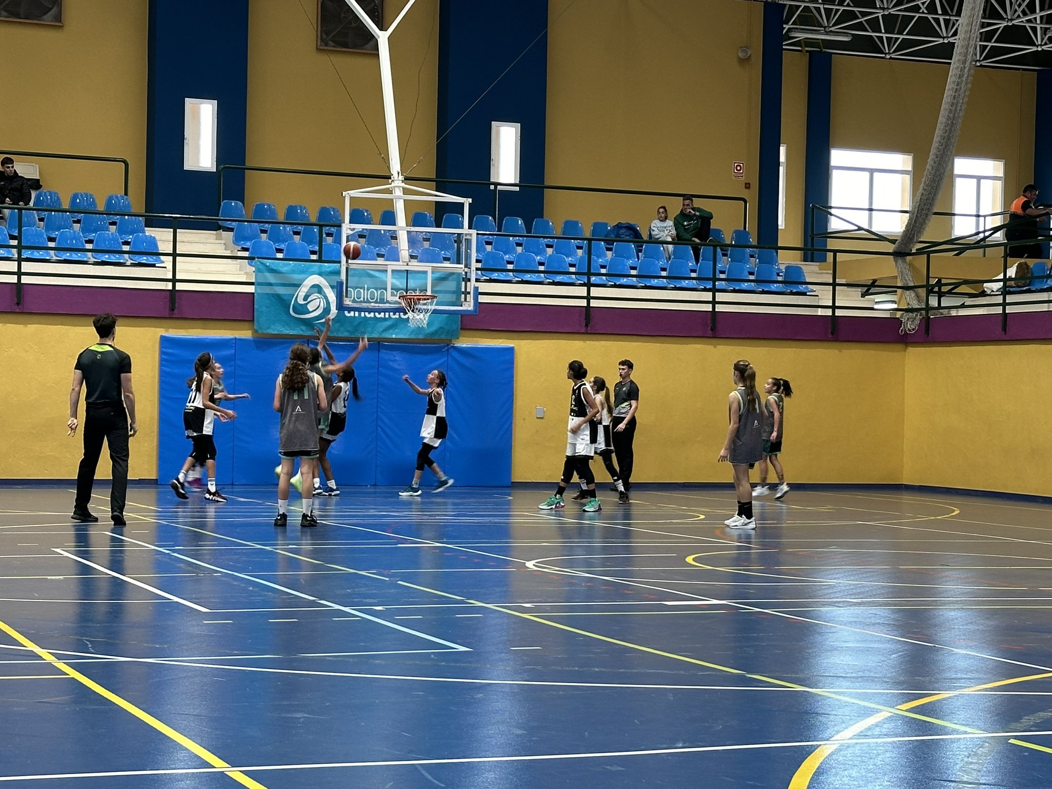 Ya puedes conseguir la nueva pizarra de entrenador de la FAB - - Federación  Andaluza de Baloncesto