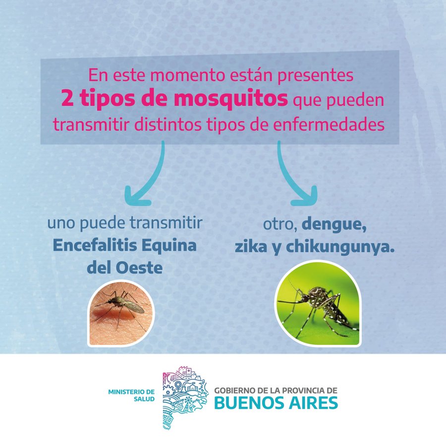 CascallaresPJ's tweet photo. 🦟Frente a la presencia de Dengue y Fiebre Chikungunya, compartimos medidas de cuidado y prevención para nuestros vecinos. 
Ante cualquier duda o síntomas, recomendamos acercarse al Centro de Salud más cercano.

Más información en: https://t.co/1lThzHiqjt

@SaludBAP @ambientepba https://t.co/7yZO7AW3QA
