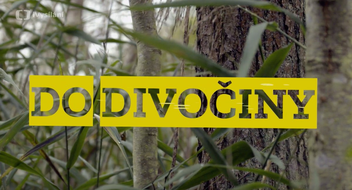 Pořad Do divočiny, který jsme točili už dávno, ale téma jak se pohybovat v přírodě, abychom něco viděli a pochopili, je pořád stejně aktuální. Třeba tady je díl, jak se chová přírodní řeka 🌊🌳

ceskatelevize.cz/porady/1366309…