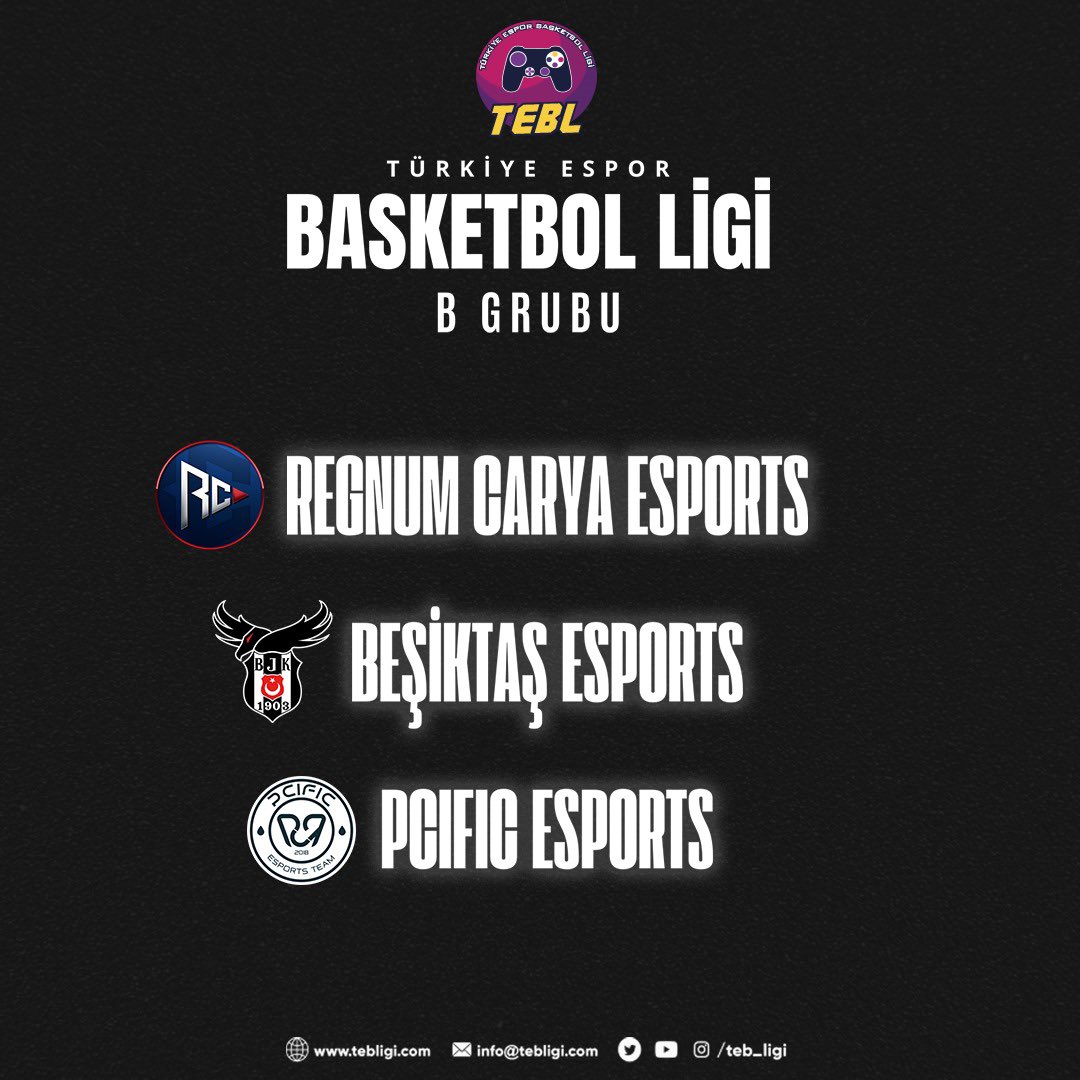 Türkiye Espor Basketbol Ligi tweet media