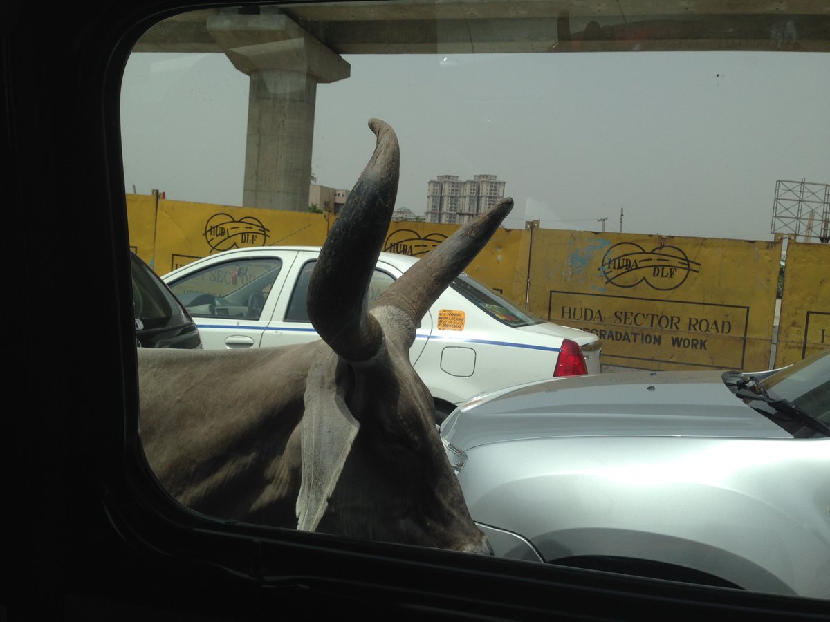 Edward Cederlund tweet media