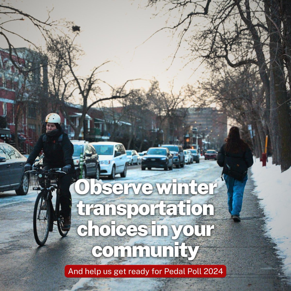 📲 We are recruiting volunteers & classrooms to go out & observe winter & transportation choices with @counterpointapp to help us prep for #PedalPollSondoVelo 2024. ℹ️ Info + sign up here: velocanadabikes.org/pedalpoll/ 👩🏽‍🎓 Excellent opportunity for secondary + post-secondary classes!