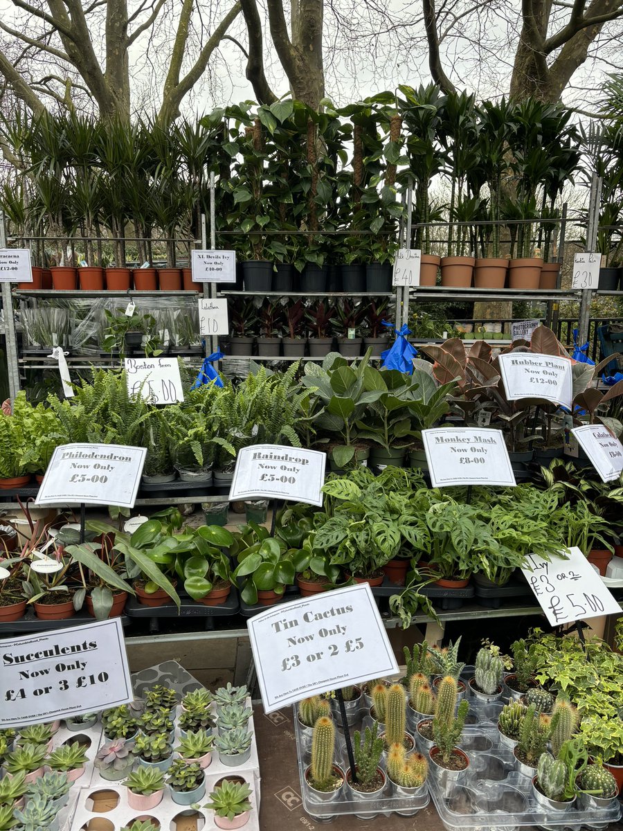 ariestcab's tweet photo. Columbia Road Flower Market - sounds as a Sunday plan https://t.co/XgWHgqvqju