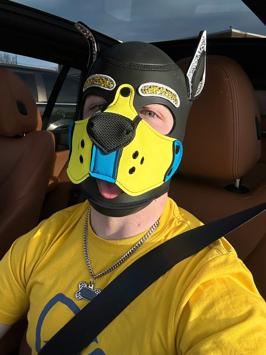 Rubbergimp2 tweet media