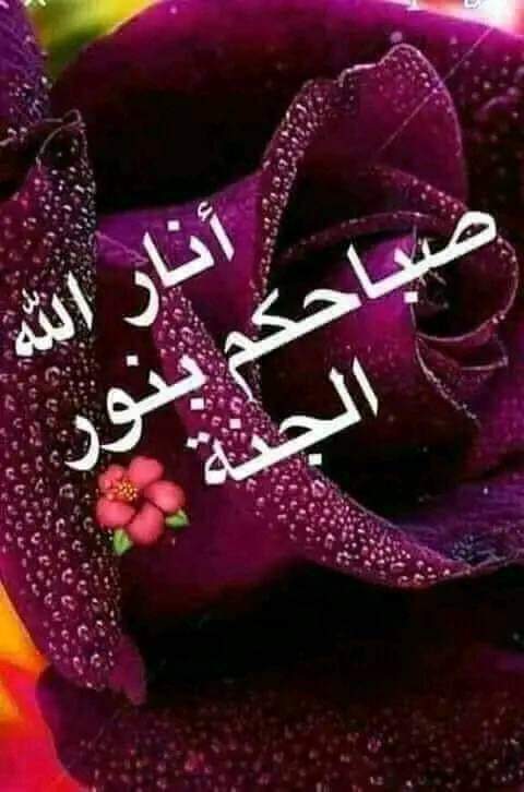 Menna Mamet hamza tweet media