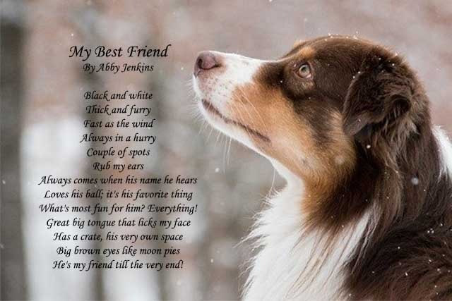 Having a loyal friend like that by your side is amazing.