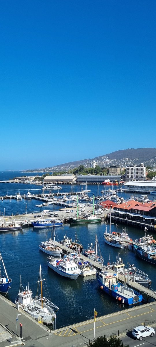 CD1MR1's tweet image. The conference is officially open! We hope all delegates enjoy the exciting and packed 4 days of program ahead. Feel free to @CD1MR1 or #CD1MR12024 to share your content.
👀 👇🏻 👀 when you see it 👀 👇🏻 👀