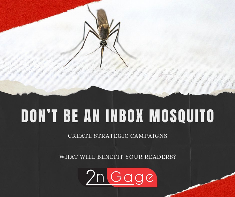 🌟 Master Email Marketing! 📧 Avoid being an inbox annoyance like a mosquito. 🦟 Create strategic campaigns with real value to prevent soaring unsubscribe rates. 💡 Let's be effective, not annoying! #EmailMarketing #ValueFirst bit.ly/3qVEobg