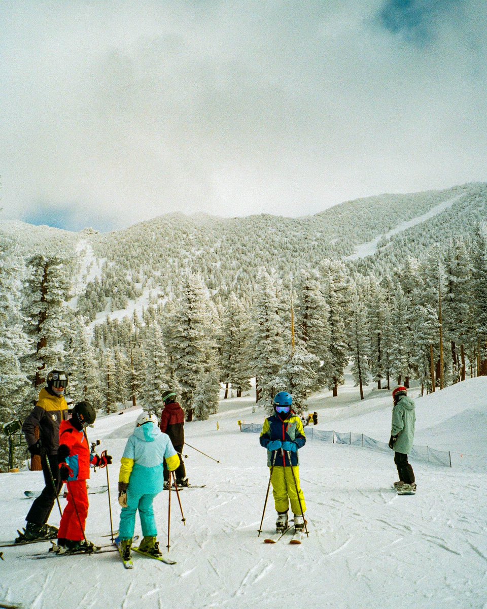 jocho0o's tweet photo. Heavenly 
📸: canon sureshot 
🎞️: #Kodakgold200 https://t.co/NUjH9UDgu6