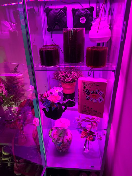 I always love gardening days This is my indoor portion that I usually will use to start seeds before<a href="/tag/gardening"class="tags"><span>#gardening</span></a><a href="/tag/greenhousecabinet"class="tags"><span>#greenhousecabinet</span></a>