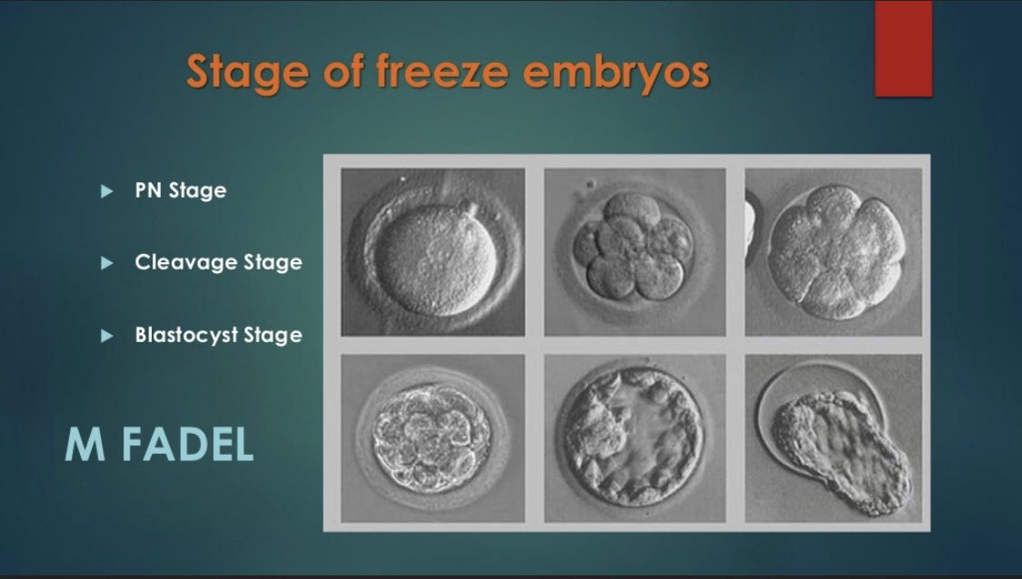 MarinaGipps's tweet image. #NOTaBaby