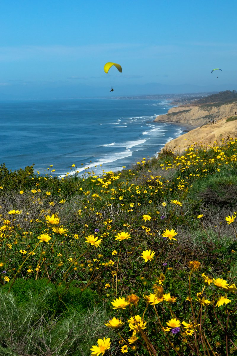 TheShutterPrince tweet media