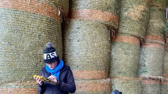 🐄🎧
Le travail des #agricultrices a longtemps été invisibilisé faute de statut. Aujourd’hui, elles 
font encore évoluer leur place et le monde agricole

A écouter <a href="/franceculture/">France Culture</a>

radiofrance.fr/franceculture/…

#salonAgriculture #femmes #agriculteurs