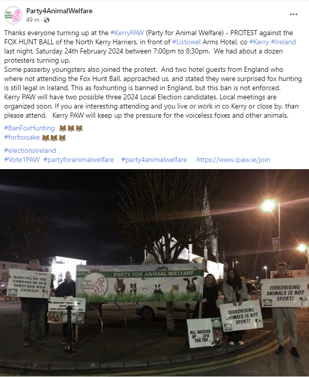 AnimalPartyIE's tweet photo. Thanks attending #KerryPAW (Party for Animal Welfare) PROTEST against the FOX HUNT BALL of the North Kerry Harriers, in front of #Listowel Arms Hotel, co #Kerry #Ireland last night, Saturday 24th February 2024 between 7-8:30pm. About dozen protesters turned up.
#BanFoxHunting ๐ฆ https://t.co/2oI5Eo1azH