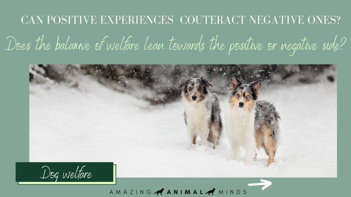 Else Verbeek tweet media