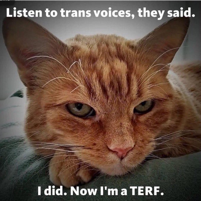 avid_reader9's tweet image. 