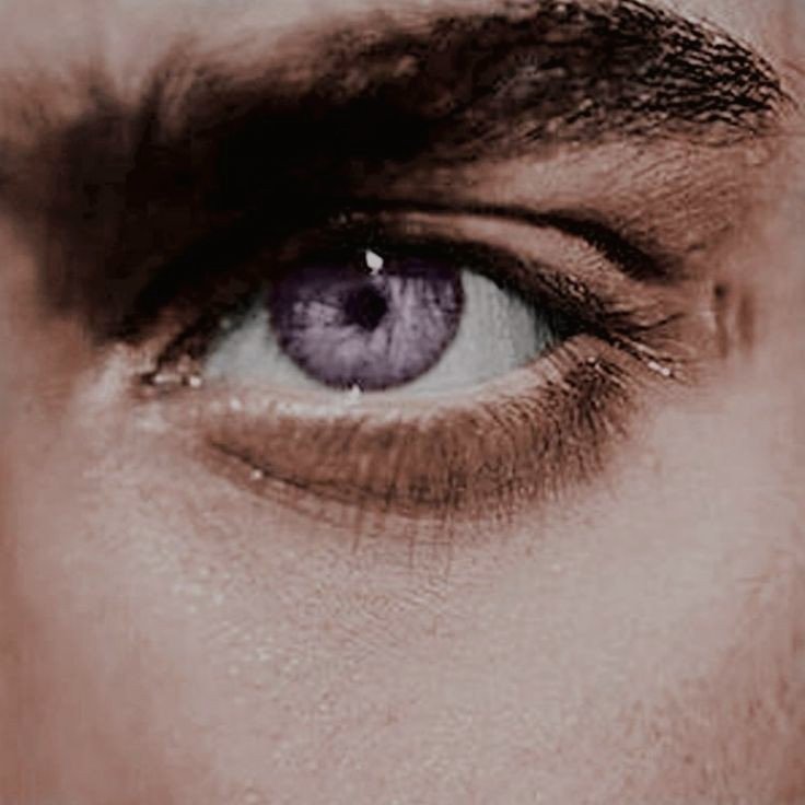 eccentricvvitch's tweet photo. ꧁༺ 𝓪 𝓬𝓸𝓾𝓻𝓽 𝓸𝓯 𝓽𝓱𝓸𝓻𝓷𝓼 𝓪𝓷𝓭 𝓻𝓸𝓼𝓮𝓼 ༻꧂

✯✯✯✯✯ https://t.co/JYefNYBtc2
