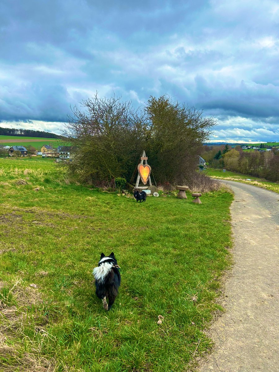 PawSpitzfamily's tweet photo. We walked a new route today 🥰 It was a Peace Path 😍🐾 It was super beautiful with cute heart-shaped stations. We had a lot of fun and now we are tired 😴 #spitzfamily #happytimes #fun #love #peacepath #peace #dogsofx https://t.co/GfmRRX5GNT