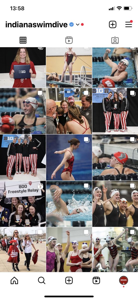 📱 @IndianaSwimDive #B1GSD feed. 

@trentbarnhart_ is becoming a master swimming & diving photographer. 📸