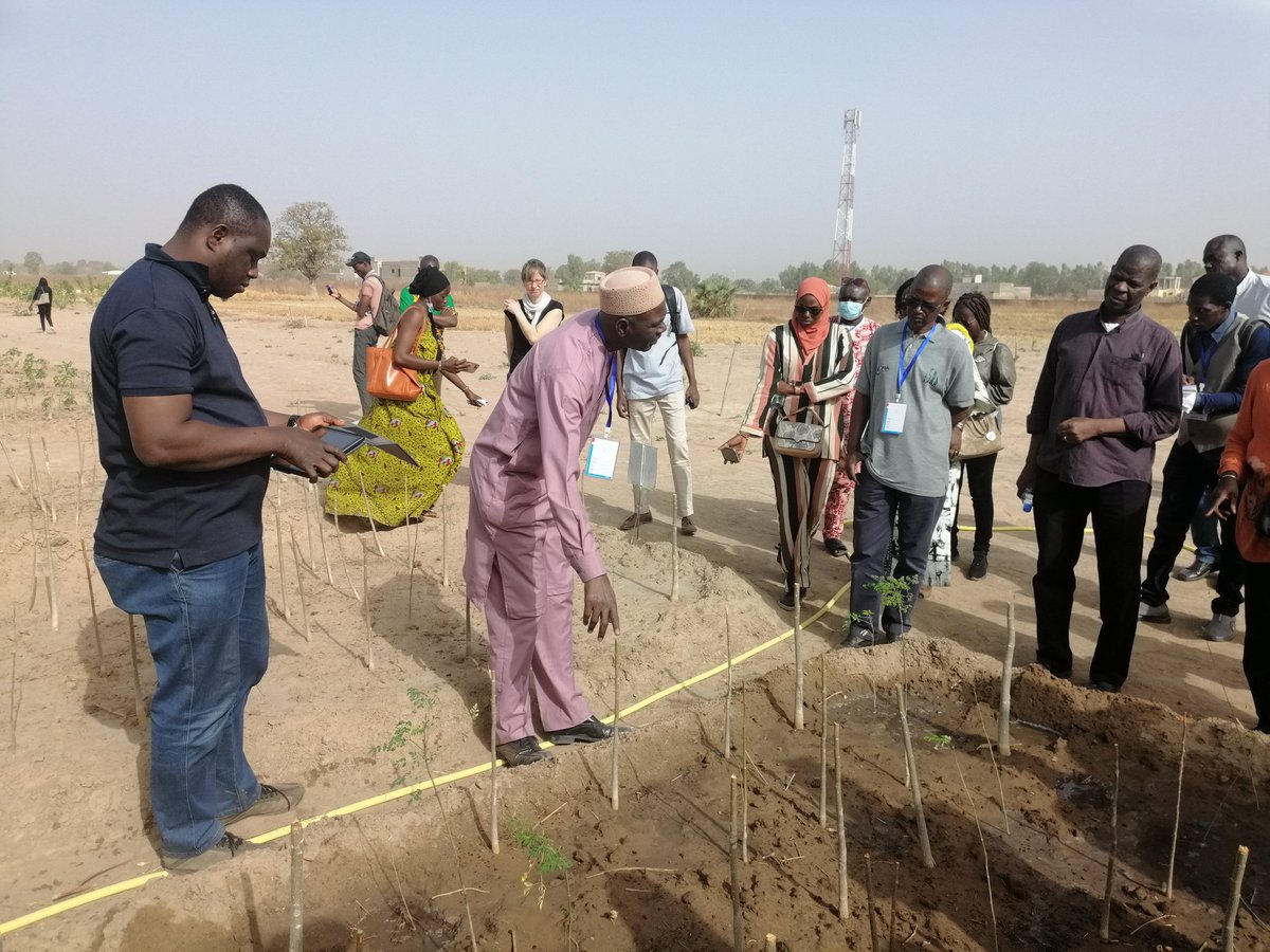 glnicolay's tweet photo. Technopark by #IER in Bamako (Sotuba) showcasing interesting #innovations, also from farmers. Visit during the #sustainsaheleu annual meeting https://t.co/H3RBorLr8D