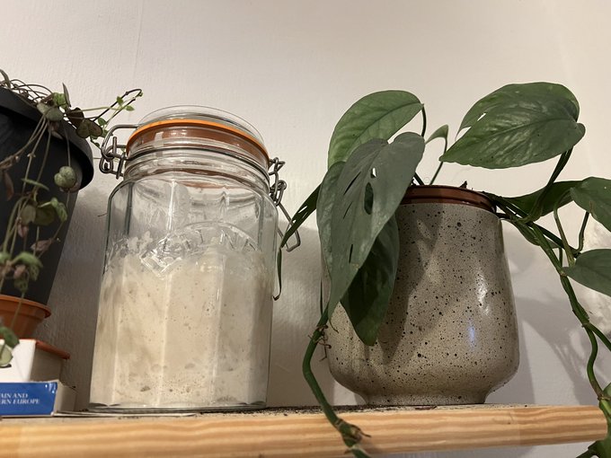 Never thought I would get excited about yeast 🤓🍞 #sourdough #sourdoughstarter https://t.co/TPiK8V8lB<a href="/tag/sourdough"class="tags"><span>#sourdough</span></a><a href="/tag/sourdoughstarter"class="tags"><span>#sourdoughstarter</span></a>
