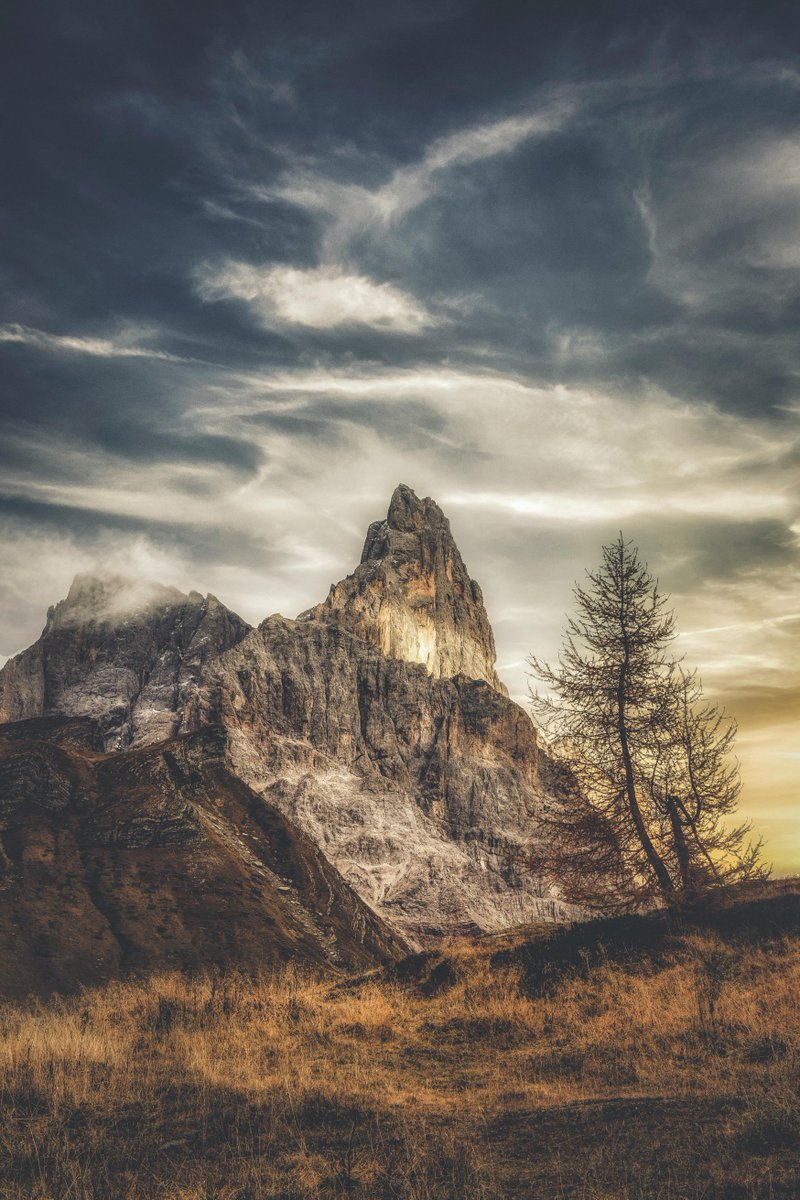 Exquisite! The delicate brushstrokes and attention to detail make this artwork stand out. #DelicateBeauty