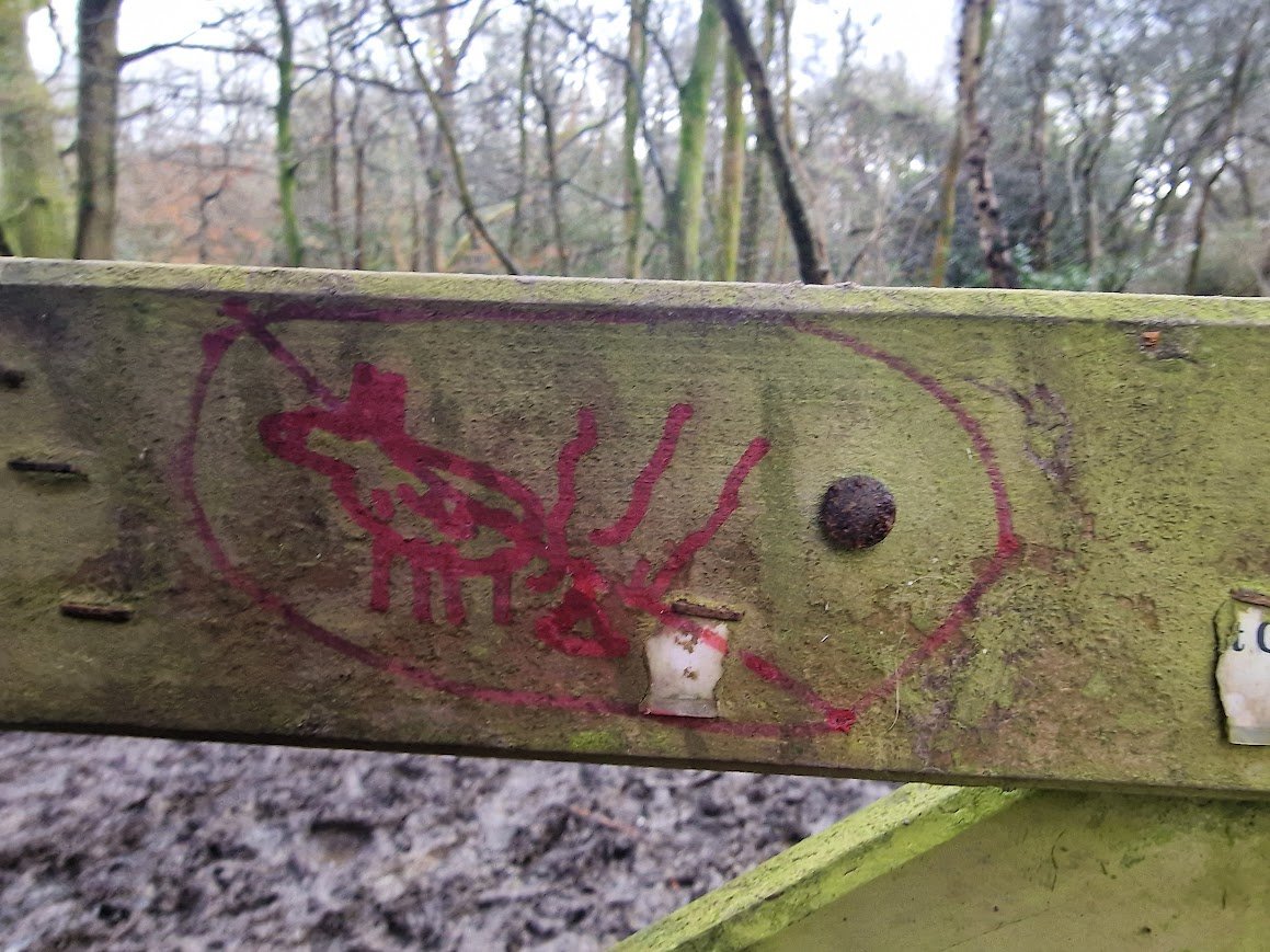 A very helpful graffito on the gates of Marstakes Common, South Chailey; a common with lots of dog poo and thrown plastic bags of dog-poo. Perhaps @LewesDC could put some signage up on dogs in this precious and very rare bit of common land, with Calluna heath, and ancient trees.