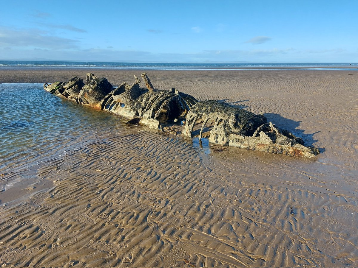 With their skeletal ribs poking out of the sand, these may look like the remains of a pair of sea creatures, but they're actually the wrecks of two WWII midget subs that lie exposed at low tide on the broad expanse of Aberlady Bay, East Lothian. (Thread 🧵)