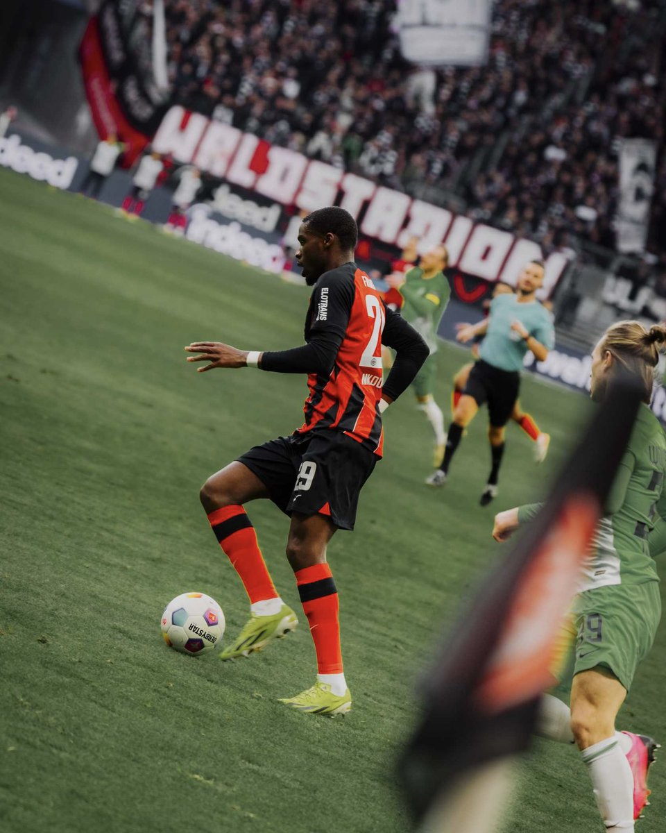 NielsNkounkou's tweet image. Until the end ⚔️

#PourVous🏴‍☠️