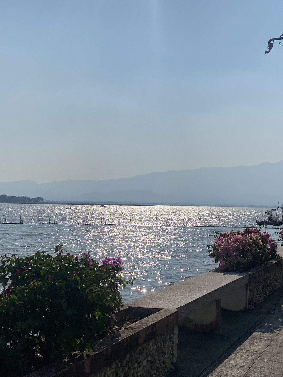 ไอ่โรมบอกเหนือสุดคือพะเยา