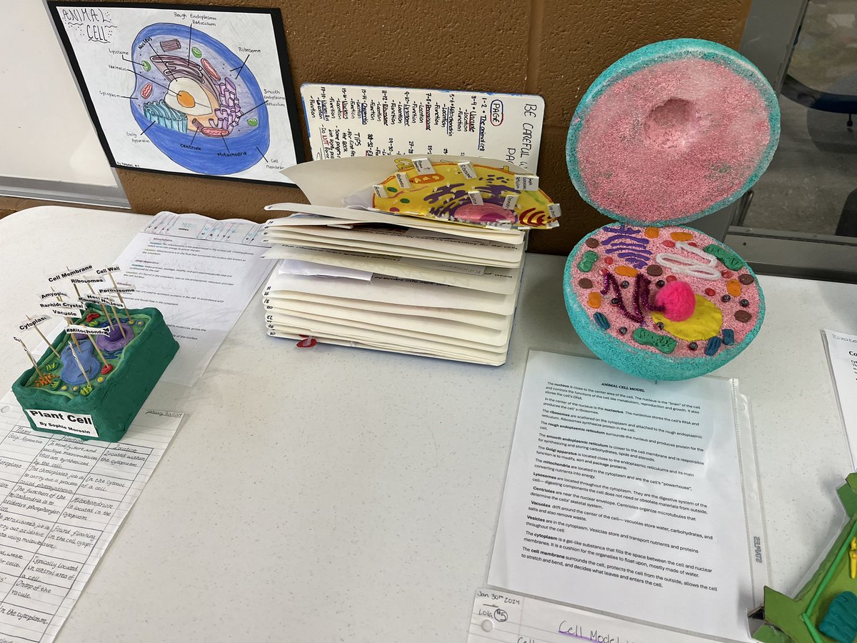 Tecumseh Vista Elem tweet media