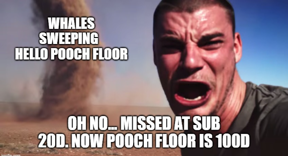 #Target100FP - Hello Pooch floor sweep storm is coming