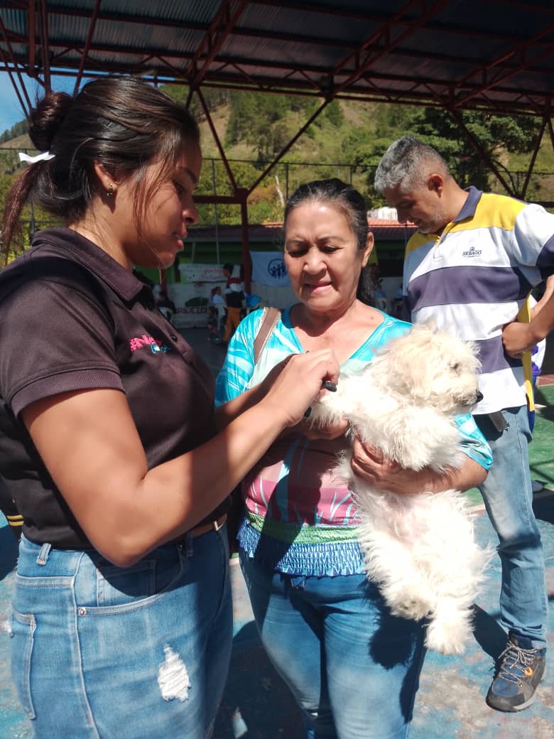 SomosNevado's tweet photo. En despliegue del Plan #AmorEnAcción  en el estado #Mérida los días #23y24Feb se realizó en las Parroquias: Ozuna Rodriguez y parroquia Jacinto Plaza #AtenciónVeterinaria a más de 100 animalitos en las diversas patologías presentadas. https://t.co/CVMORFTb0U